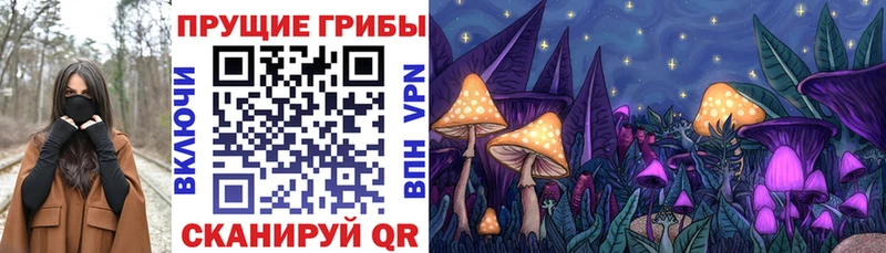 где можно купить   Черногорск  kraken ССЫЛКА  Галлюциногенные грибы мухоморы 