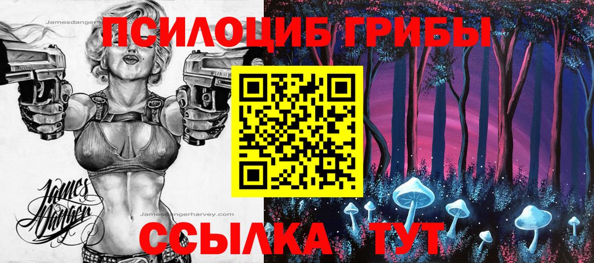 Псилоцибиновые грибы мицелий  Вход с VPN  Черногорск 
