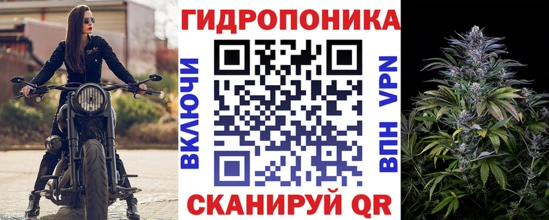 Конопля Bruce Banner  Черногорск 